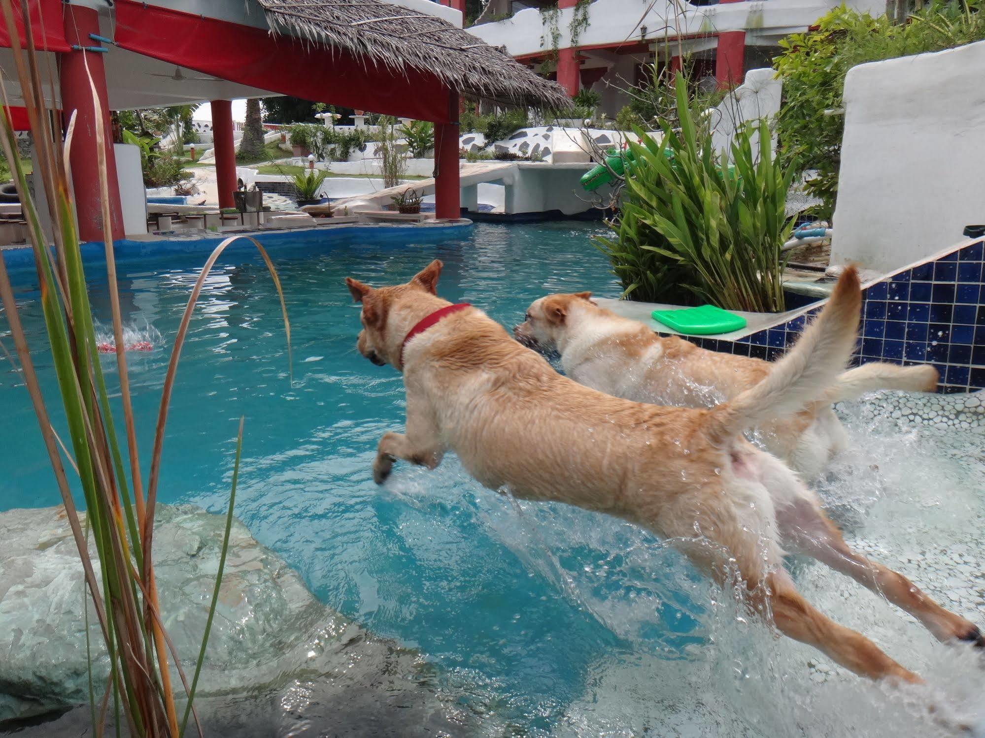 Mirabel Club Resort Jomtien Beach Dış mekan fotoğraf
